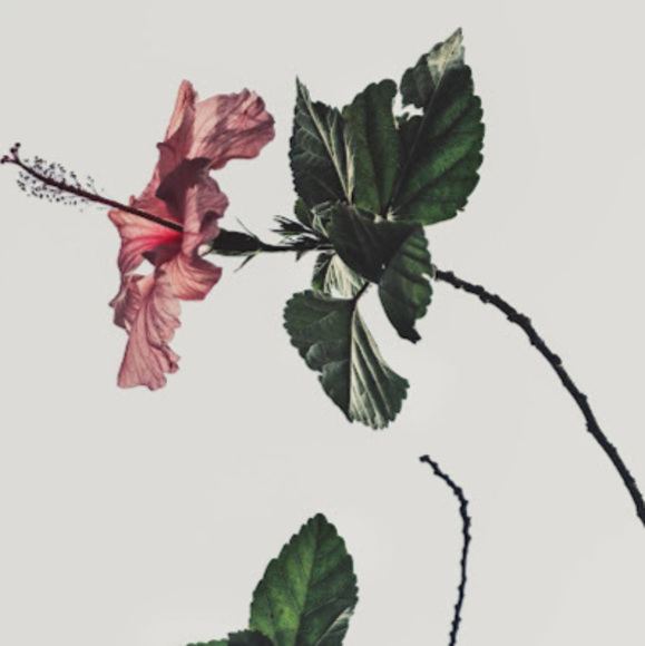 Meet your Posher, Natalia - Picture 1 of 1